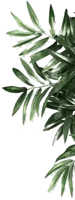 plantas-paisagismo-nid-1