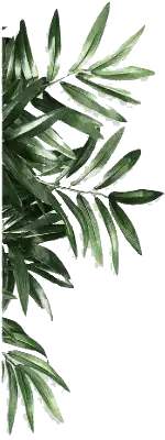 plantas-paisagismo-nid-3