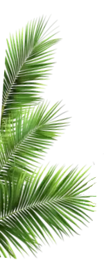 plantas-paisagismo-nid-4